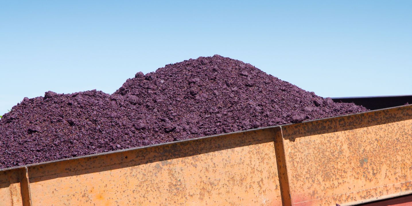 Elixir of Beauty from Grapes: Grape Waste Becomes Effective Cosmetics
